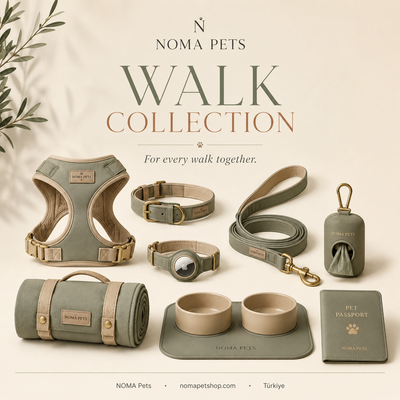 Walk collectıon