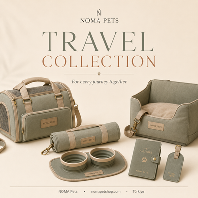 Travel Collectıon