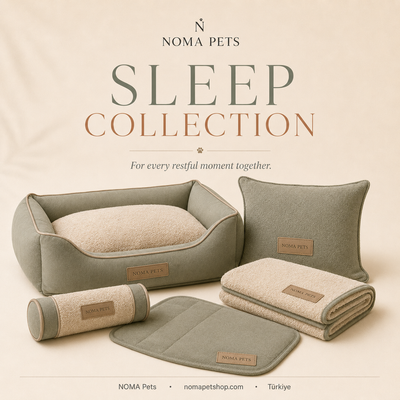 Sleep Collectıon